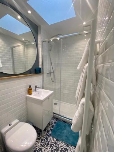 une salle de bain avec une douche, des toilettes et un lavabo dans l'établissement STUDIO PARIS VUE IMPRENABLE, à Paris