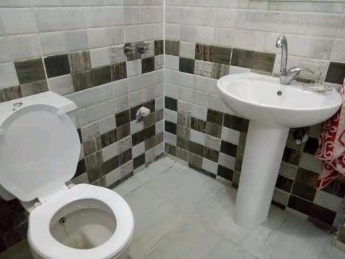 y baño con aseo y lavamanos. en Bakar house, en Asuán