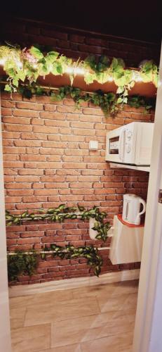 a brick wall with green ivy on it at Casa de Huespedes Dolce Vita in Madrid