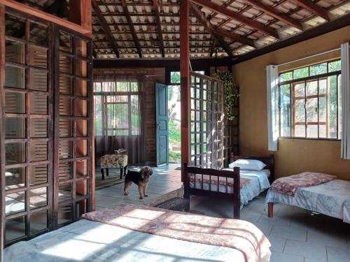 Un dormitorio con dos camas y un perro en él en Chácara pausa vital, en Mairiporã