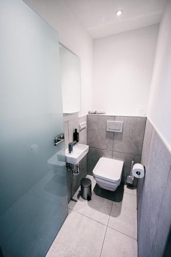 a bathroom with a white toilet and a sink at Eifellodge - am roten Sandberg in Prüm