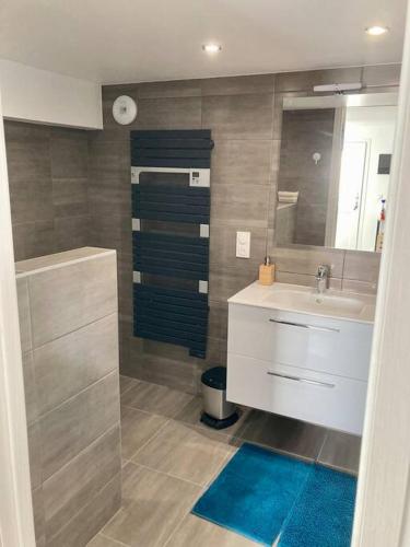 une salle de bain avec un lavabo et un miroir dans l'établissement Appartement cosy entre Genève et Annecy, à Vovray-en-Bornes