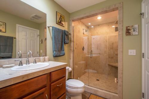 La salle de bains est pourvue d'une douche, d'un lavabo et de toilettes. dans l'établissement Northern Daylights, à White Salmon