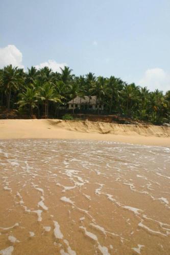 Karikkathi Beach House – Photos 4