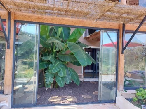 a glass house with a plant inside of it at SAWUBONA in Les Adrets de l'Esterel