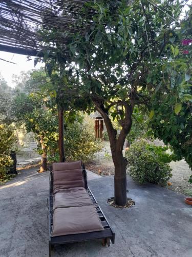 Κήπος έξω από το Keritis Country House