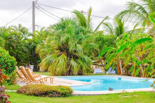 a swimming pool with lounge chairs and palm trees at Mora Mora, villa créole avec piscine & jardin in Le Vauclin