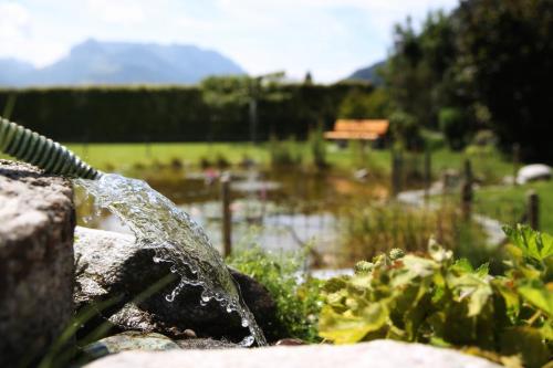 a stream of water coming out of a fountain at Landhaus Alpengruss in Kössen