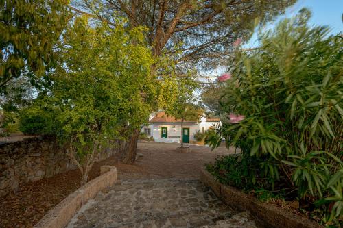 a garden with a stone path leading to a house at Casa do Vale in Sao Pedro de Tomar