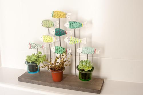 four potted plants sitting on a wooden shelf at Hostal Bon Sol in Sant Ferran de Ses Roques