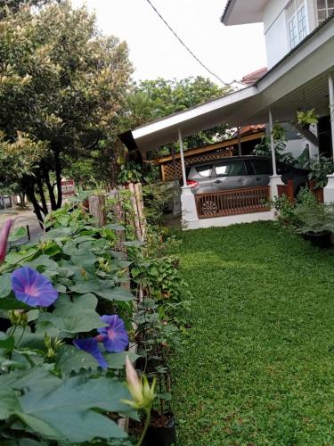 Saung Ramalea Bogor في بوغور: ساحة بها زهور أرجوانية أمام المنزل