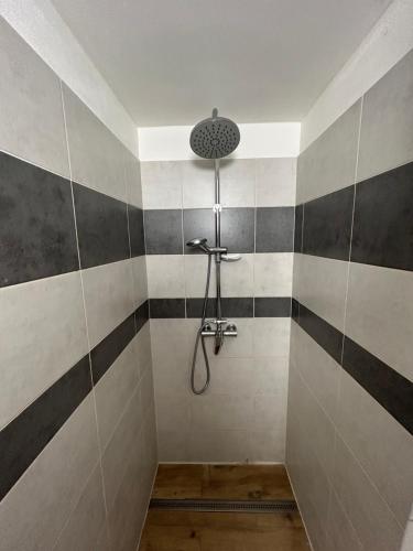 uma casa de banho com um chuveiro com riscas pretas e brancas em Stromořadní 17 em Břeclav