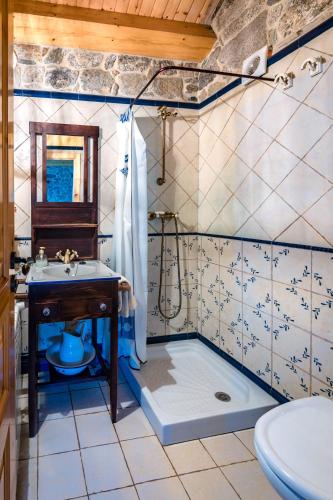 a bathroom with a shower and a sink and a toilet at Casa Rural A Avoa María in Campo Lameiro