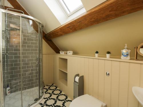 een badkamer met een douche en een toilet bij Cuckoo Penn Hideaway in Stonehouse