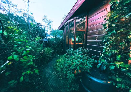 a house with a bunch of plants in front of it at "De Jungle" Chalet met veranda op IJsselheide Hattemerbroek Veluwe in Hattemerbroek