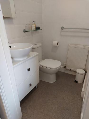 a white bathroom with a toilet and a sink at Red Lion in Exeter