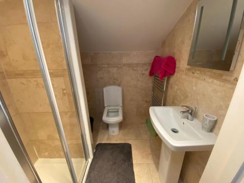a small bathroom with a toilet and a sink at Royal Oak Apartment 1 in Cerne Abbas