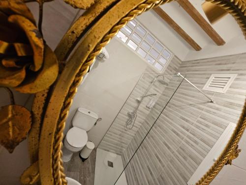 an overhead view of a bathroom with a shower and a toilet at Apartamento Casa Pura in Medina Sidonia