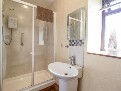 a white bathroom with a sink and a shower at Bwthyn Ty Newydd in Pont Dolanog