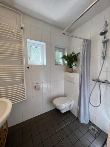 La salle de bains est pourvue de toilettes, d'une douche et d'un lavabo. dans l'établissement Platell Ferienhausverwaltung Sankt Andreasberg, à Sankt-Andreasberg