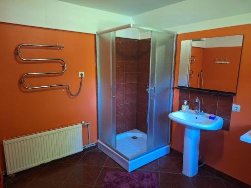 y baño con ducha y lavamanos. en Brīviņi, en Jaunjelgava
