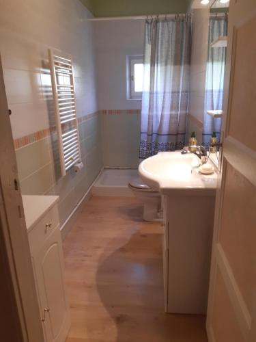 a bathroom with a sink and a toilet at Appartement Le Parad'hiver in Gérardmer