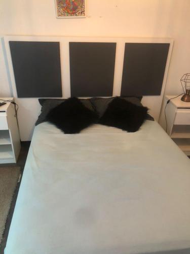 La Casita – Photos 2