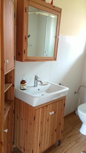 a bathroom with a sink and a mirror and a toilet at Zielony Domek Plutycze in Plutycze