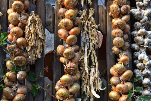 a bunch of onions hanging on a wooden fence at Casa Vladicu in Breb