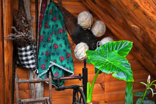 a green tie and a plant in a room at Casa Vladicu in Breb