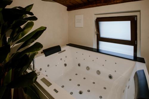 uma casa de banho com uma banheira com uma janela e uma planta em Fagus - Relax Suites em Faicchio