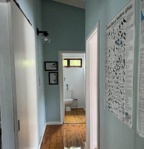 a hallway with a toilet in a room with blue walls at Stok&Hoed in Natureʼs Valley