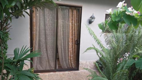 una puerta abierta con cortinas en una habitación con plantas en Apartamento Cris, en Puerto Viejo
