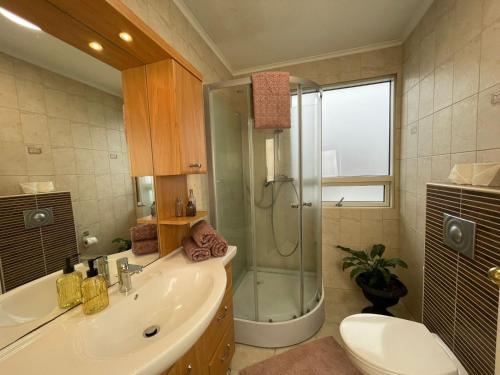 a bathroom with a shower and a sink and a toilet at Airport Comfort Home in Njarðvík