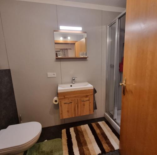 ein Bad mit einem WC, einem Waschbecken und einer Dusche in der Unterkunft Haus Auebach in Ellmau