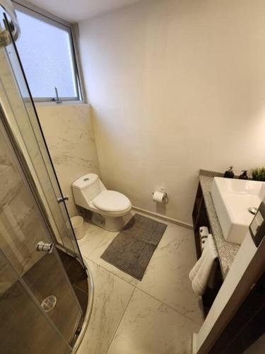 a bathroom with a toilet and a sink and a shower at Asombroso Loft Moderno Con Excelente Ubicación in Mexico City