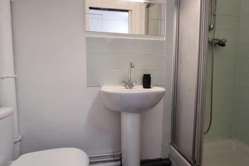 une salle de bain avec un lavabo, des toilettes et une douche dans l'établissement Chez K&D Studio Rouge Le Havre, au Havre