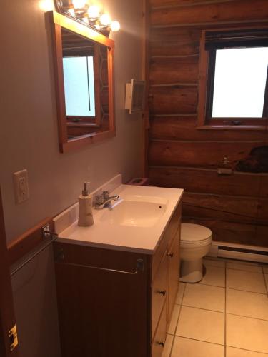 a bathroom with a sink and a toilet at Valemount Mountain Retreat Guesthouse in Valemount