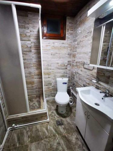a bathroom with a toilet and a shower and a sink at Vila Treska 98 in Kopaonik