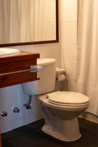 a bathroom with a toilet and a sink at Hotel Germania in Puerto Varas