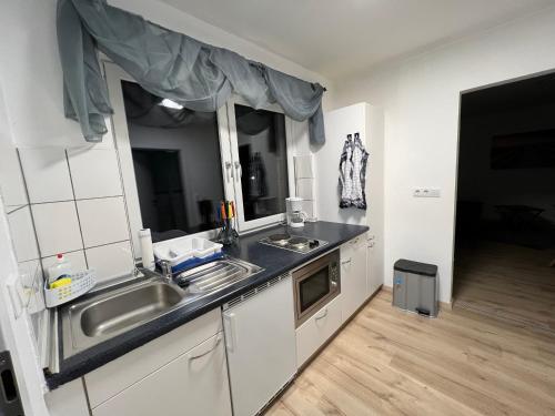 eine Küche mit einer Spüle und einer Arbeitsplatte in der Unterkunft Ferienwohnung Pfaffensteinblick in Hirschbach