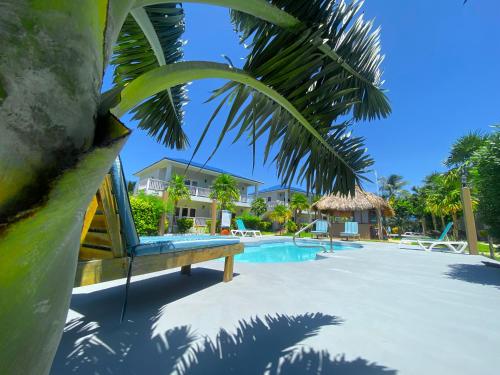 a pool with a bench and a palm tree at Sapphire Beach Resort in San Pedro