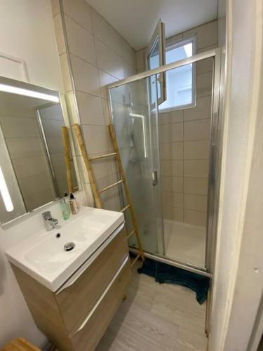 uma casa de banho com um lavatório e um chuveiro em Charmant studio plein centre em Saint-Gaudens