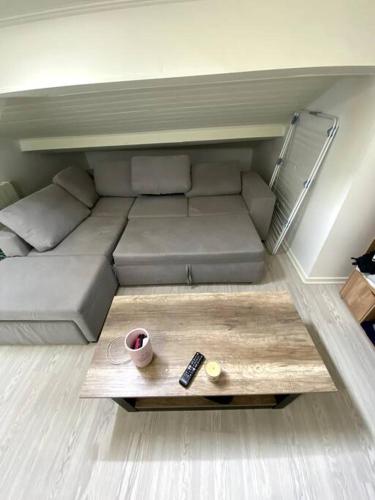 uma sala de estar com um sofá e uma mesa de centro em Charmant studio plein centre em Saint-Gaudens