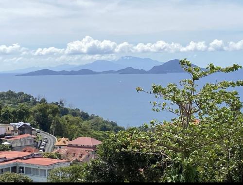 Φυσικό τοπίο κοντά σε αυτό το διαμέρισμα