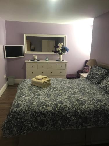 a bedroom with a bed with a dresser and a mirror at The Riverside Apartment on Cheddar Bridge Apartments in Cheddar