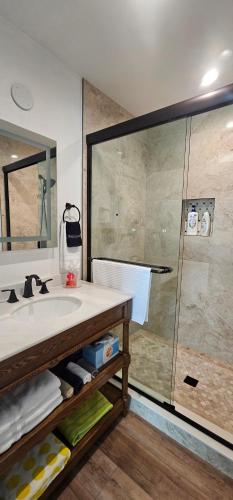 ein Bad mit einem Waschbecken und einer Dusche in der Unterkunft Nasa waterfront Dolphin Suite in Titusville