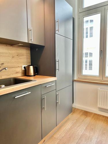 Kuchyň nebo kuchyňský kout v ubytování Modernes City-Apartment mit Blick in den Park und 2 Bäder H9