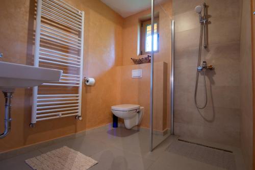 La salle de bains est pourvue d'une douche, de toilettes et d'un lavabo. dans l'établissement Cabana Mistic, à Bran