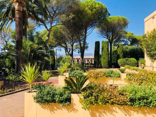 a garden with palm trees and plants at Appartement front de mer in Saint-Raphaël